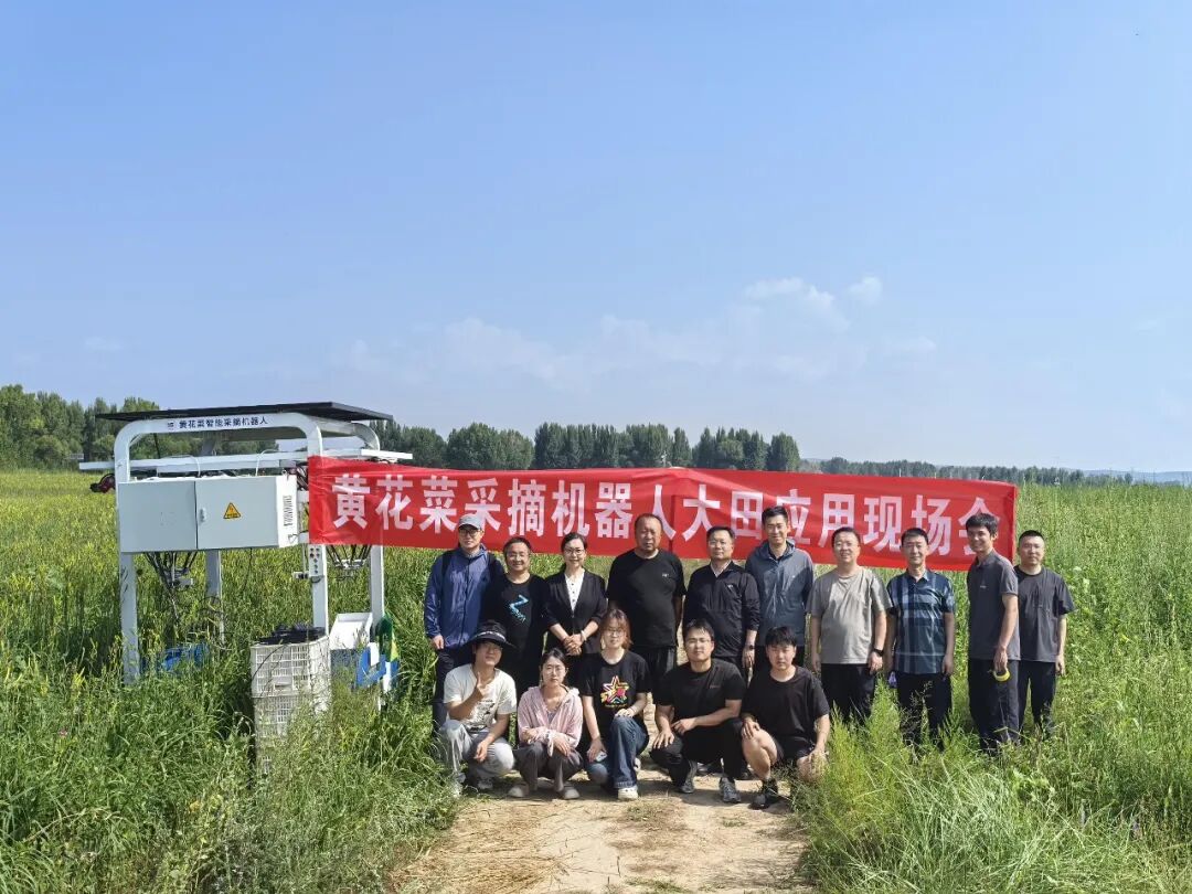 图为黄花菜智能采摘机器人大田应用现场会。