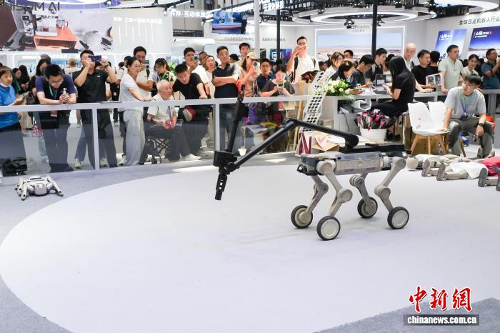 资料图：2026世界机器人大会期间展示的机器人。受访者供图